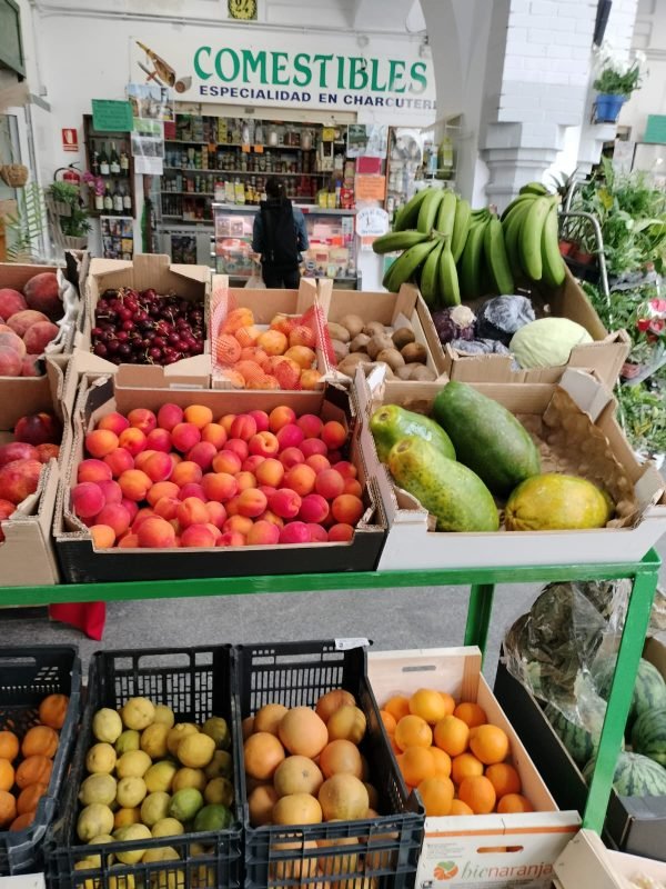 Imagen de WhatsApp 2025-05-05 a las 11.54.50_6d1d9d32