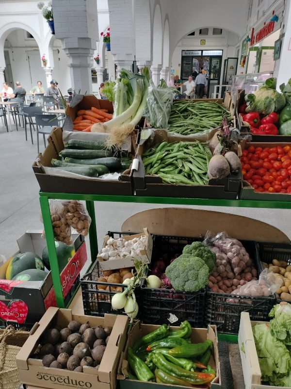 Imagen de WhatsApp 2025-05-05 a las 11.55.37_c5ba8735