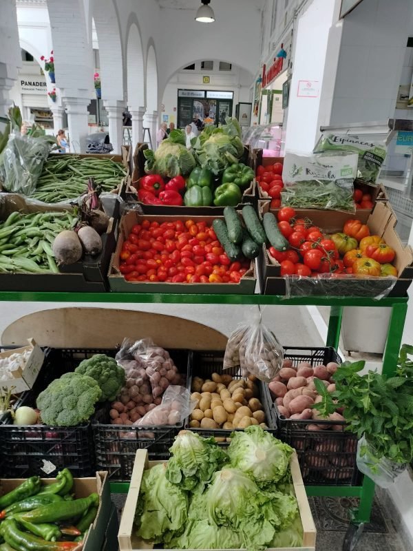 Imagen de WhatsApp 2025-05-05 a las 11.55.44_619a20e5